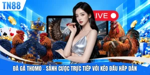 Đá Gà Thomo
