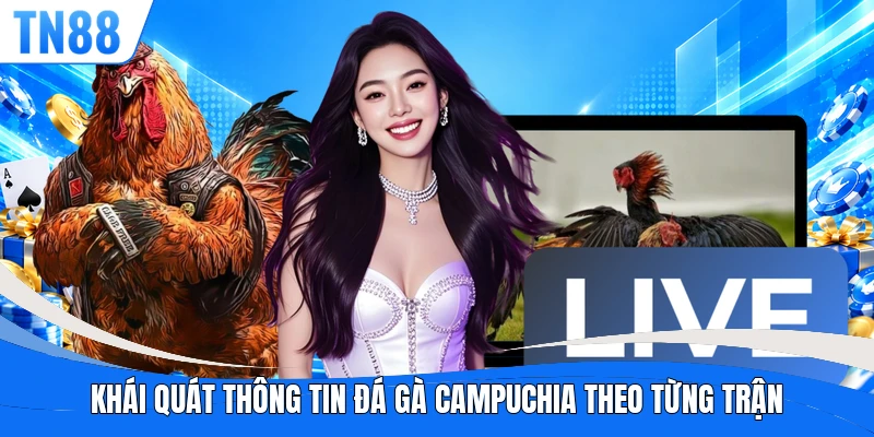 Khái quát thông tin đá gà Campuchia theo từng trận
